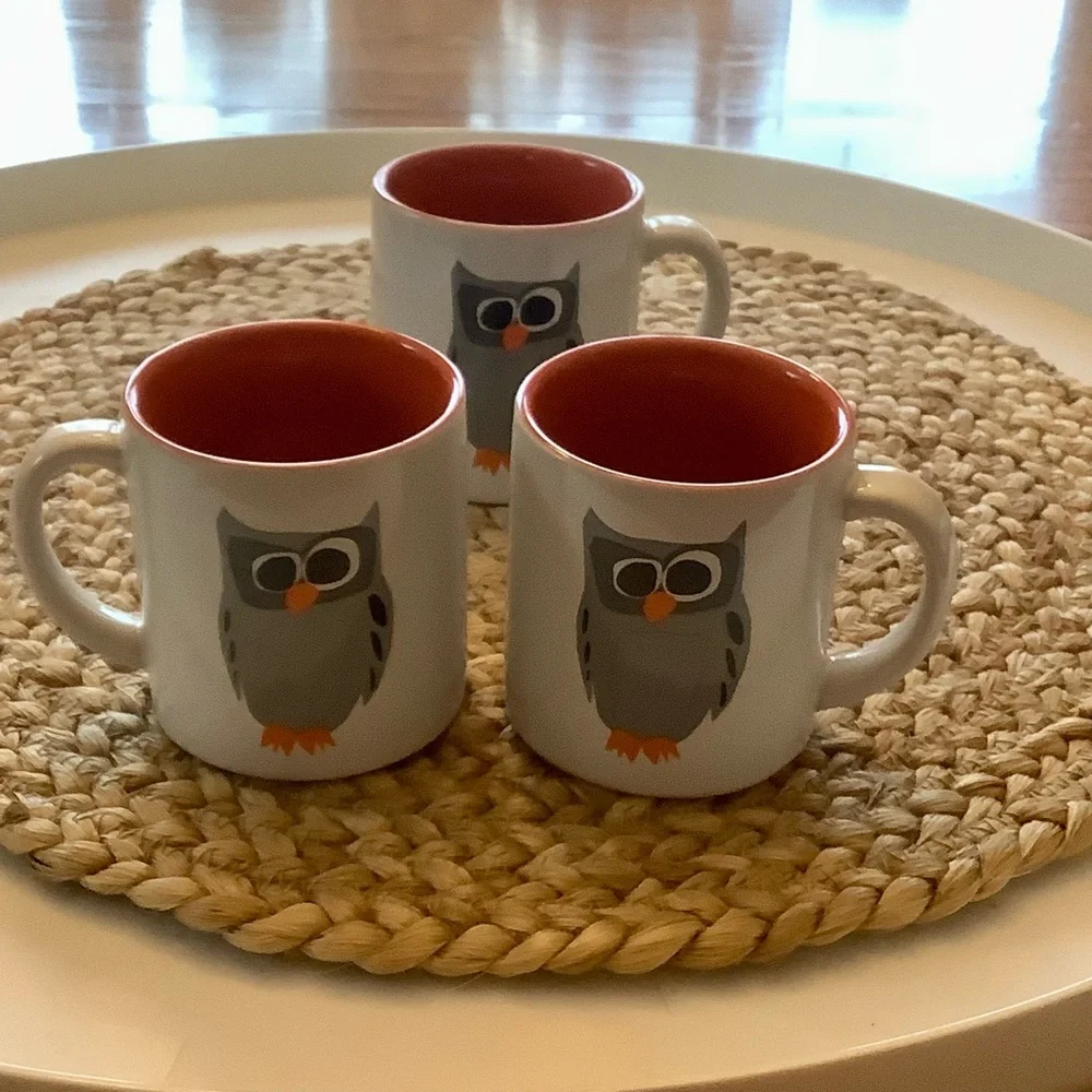 Crate & Barrel Owl Coffee Mug Cup Three Piece Matching Set 8 Ounces * Dual sided
